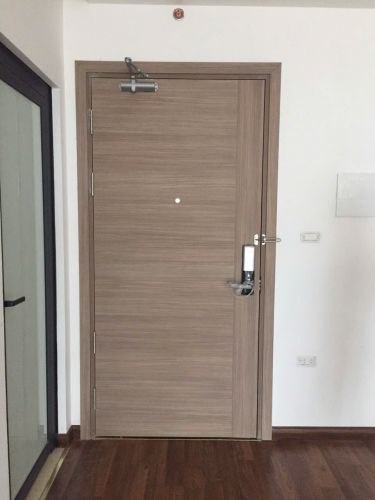 Cửa gỗ HDF Veneer